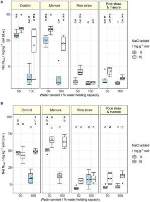 Organic Amendments Alleviate Salinity Effects on Soil Microorganisms and Mineralisation Processes in Aerobic and Anaerobic Paddy Rice Soils